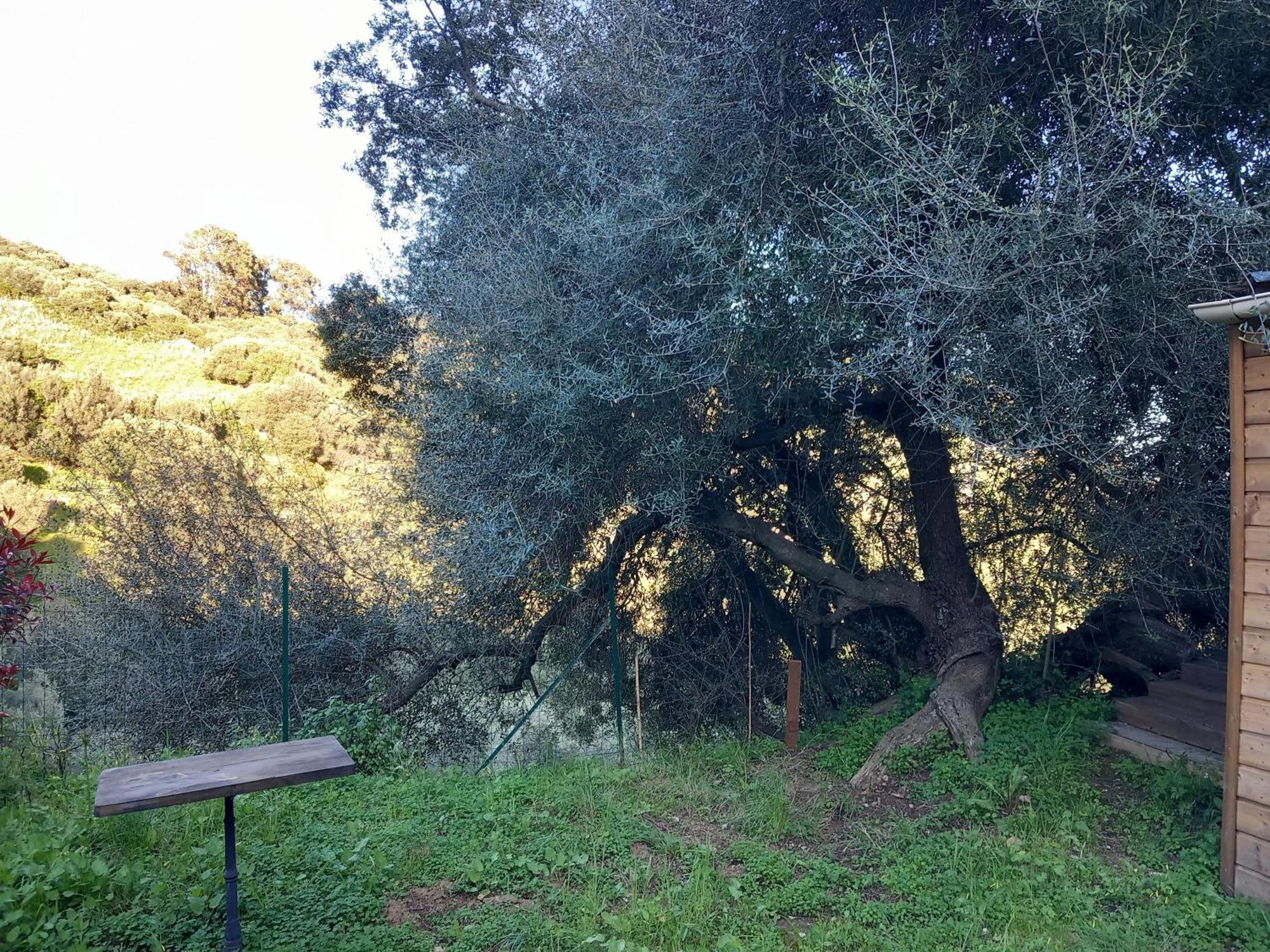 Villa A Croce Alata Dış mekan fotoğraf