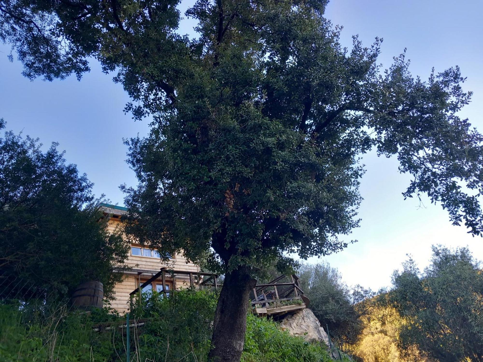 Villa A Croce Alata Dış mekan fotoğraf