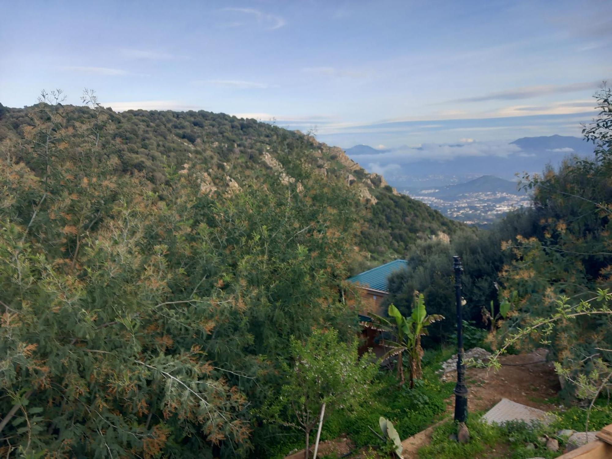 Villa A Croce Alata Dış mekan fotoğraf